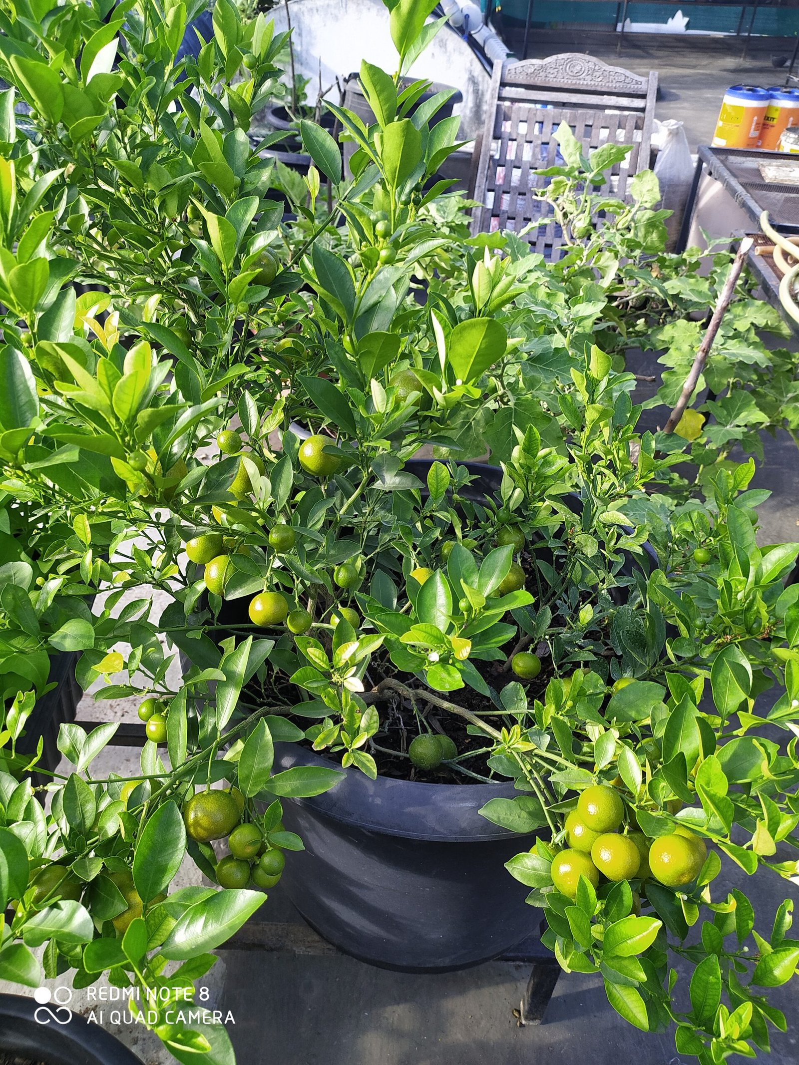 Home img 20200702 075413